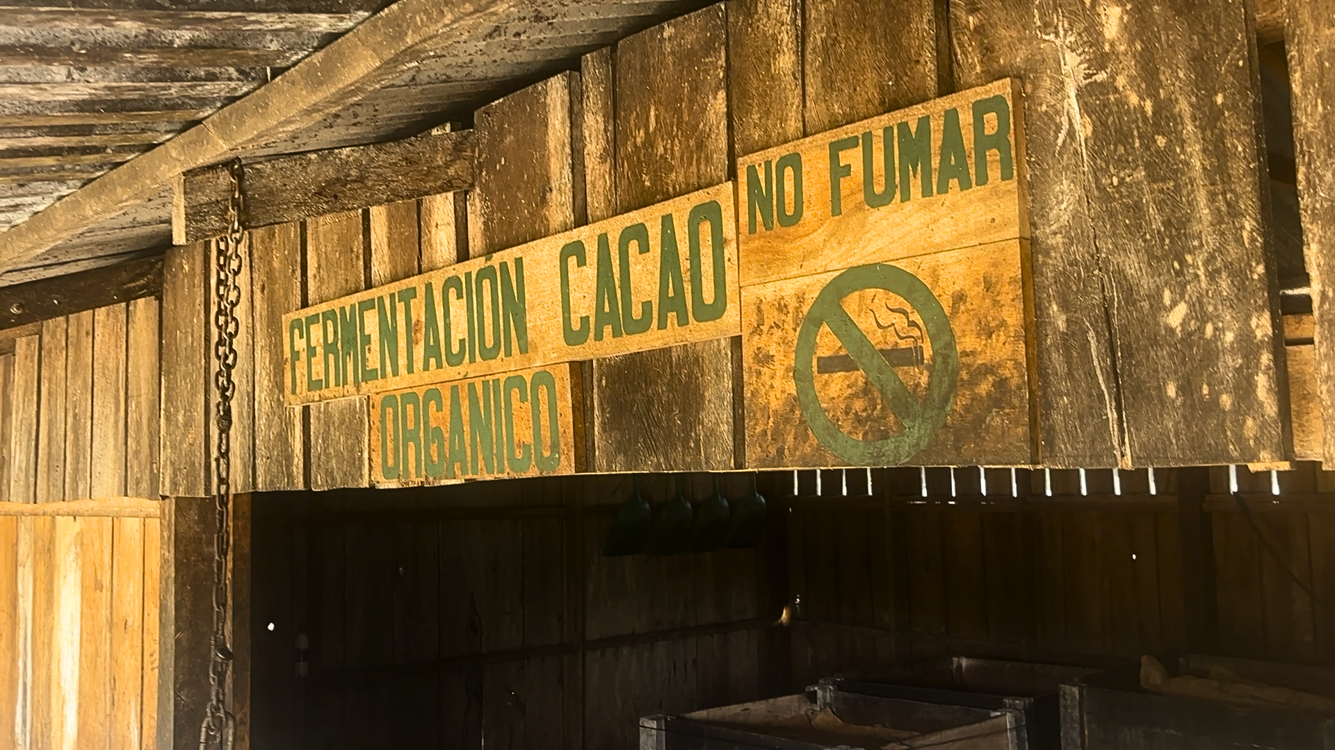 Inside the Fermentation Box: How Kampura Prepares Raw Cacao for Craft Chocolate