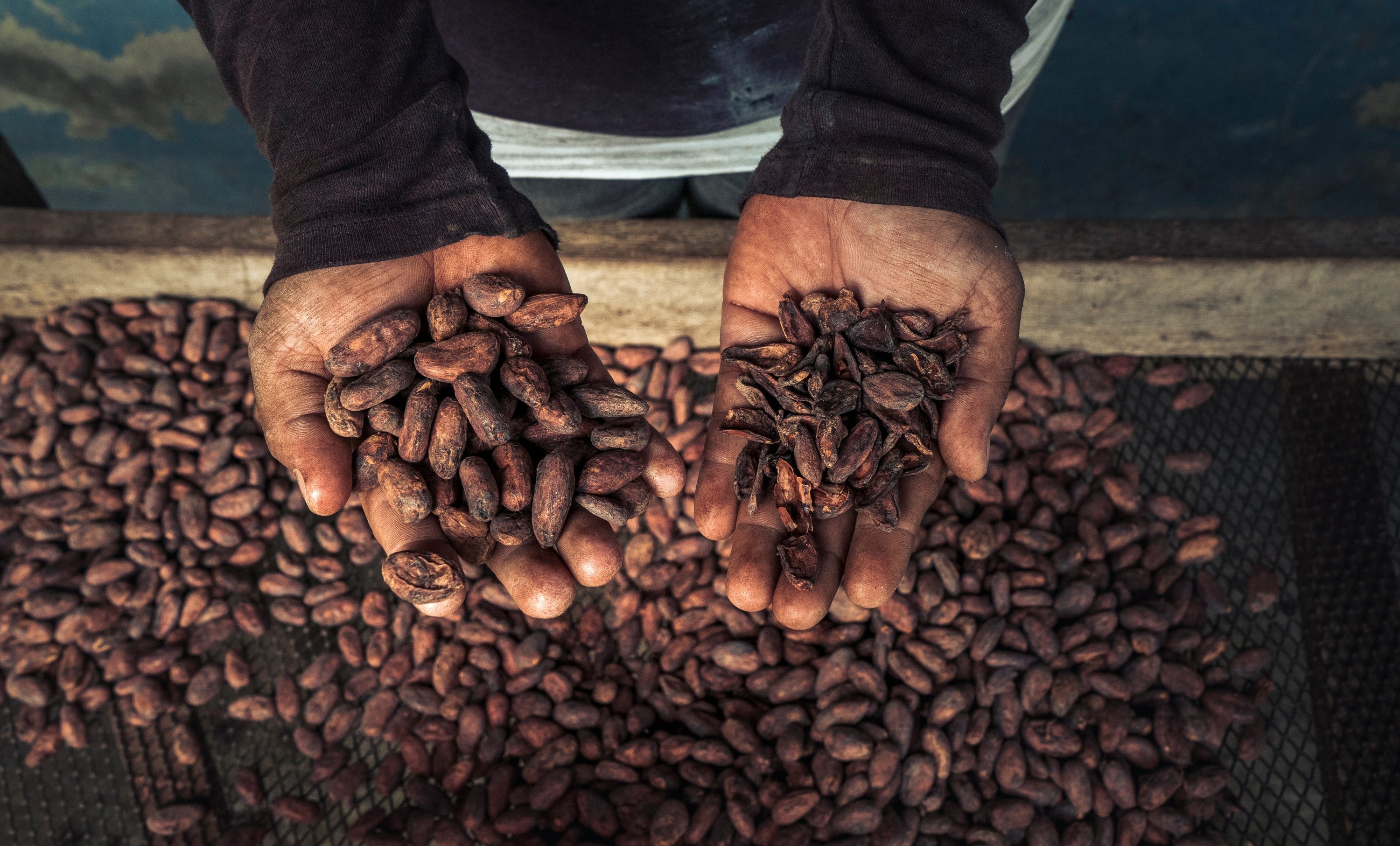 Making Cacao Paste with Volcanic Stone to Modern Grinders